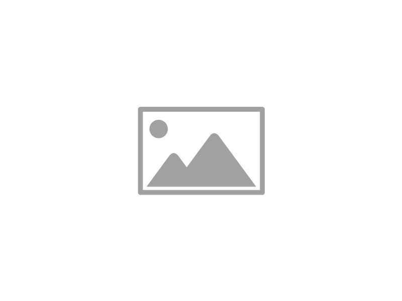 Scam Klokkenluiders