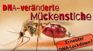 Erneuter DNA-Lockdown – durch DNA-veränderte Mückenstiche möglich?