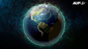 Schrumpfende Fische: Klima-Horror-Meldungen in System-Medien immer absurder