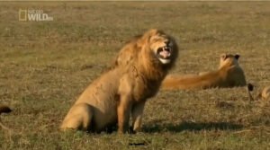 Kretschmer TAGESSCHAU