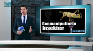 Malaria-Ausbruch in den USA – nur ein günstiger Zufall?