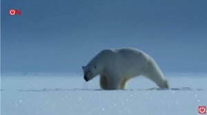 Wat klopt van de klimaatverandering waarover de media berichten?