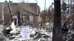 Government Puts COMPLETE Signs In Front Of Maui Fire Victims' Burned Down Homes; Owners BANNED!