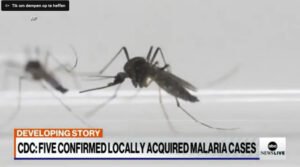 Helicopter Mosquito Release