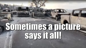 Maui: Journalist Presents Gruesome Case for Microwave Weapon Use