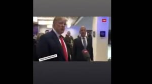 Nothing to see here, just Donald Trump congratulating Klaus Schwab on his fantastic job