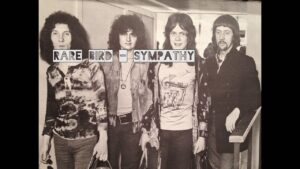 Rare Bird - Sympathy