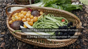 Nun soll sogar Gemüse aus eigenem Garten „klimaschädlich“ sein