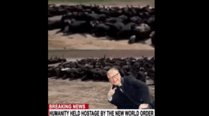BILL GATES UNLEASHES SECRET WEAPONS IN THE FOOD SUPPLY
