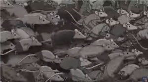 DE TOESTAND IN DE WERELD | TRAILER